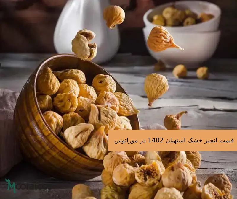 11Persian-nuts-dried-fig-04-768x1160-1-scaled